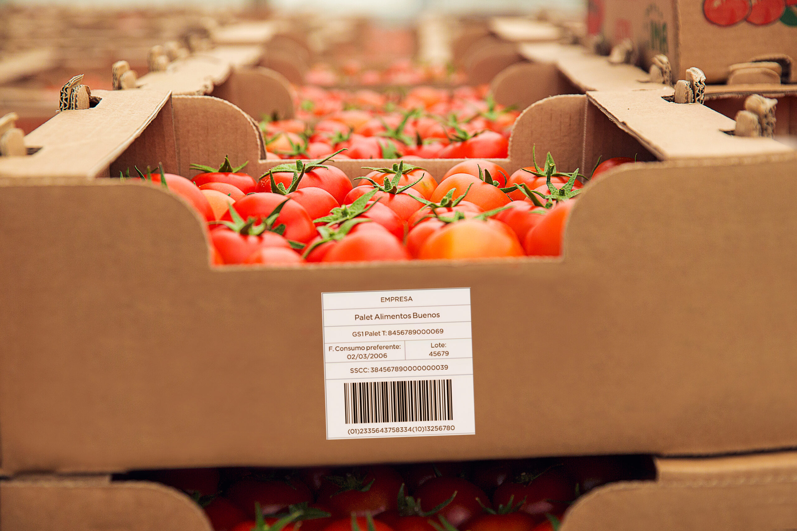 Cajas de tomates con trazabilidad alimentaria